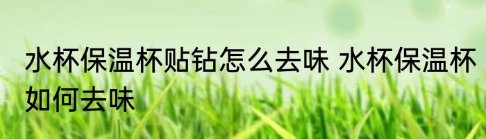 水杯保温杯贴钻怎么去味 水杯保温杯如何去味