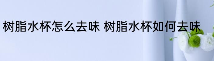 树脂水杯怎么去味 树脂水杯如何去味