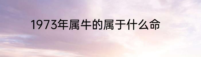 1973年属牛的属于什么命