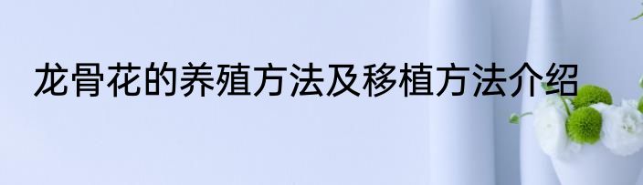 龙骨花的养殖方法及移植方法介绍