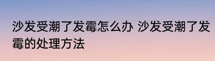 沙发受潮了发霉怎么办 沙发受潮了发霉的处理方法