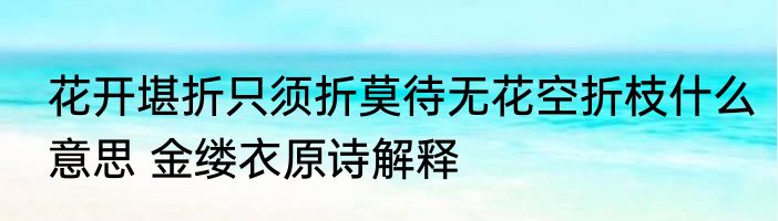 花开堪折只须折莫待无花空折枝什么意思 金缕衣原诗解释