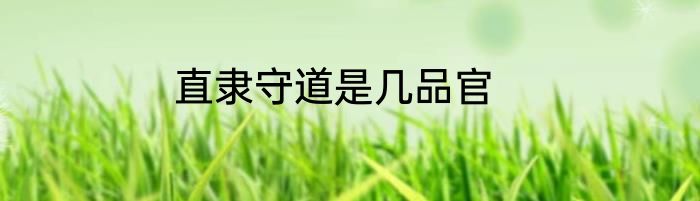 直隶守道是几品官