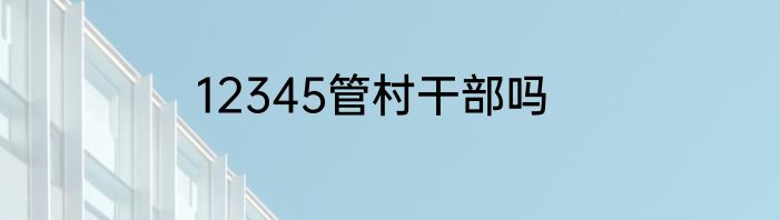 12345管村干部吗