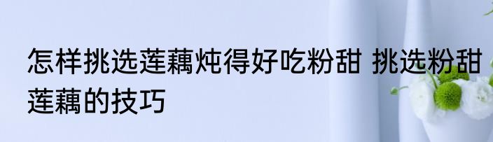 怎样挑选莲藕炖得好吃粉甜 挑选粉甜莲藕的技巧