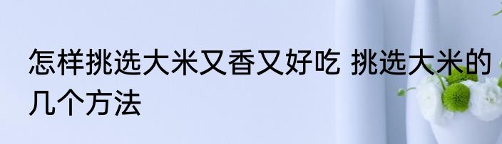 怎样挑选大米又香又好吃 挑选大米的几个方法