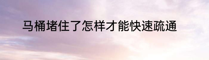 马桶堵住了怎样才能快速疏通