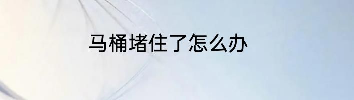 马桶堵住了怎么办