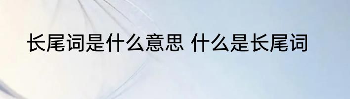 长尾词是什么意思 什么是长尾词