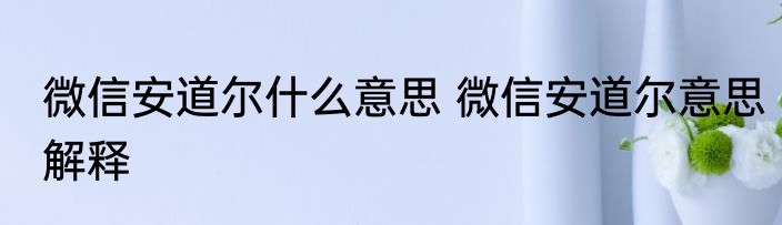 微信安道尔什么意思 微信安道尔意思解释