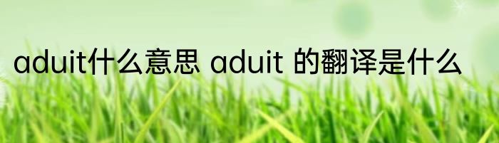 aduit什么意思 aduit 的翻译是什么