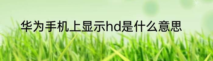 华为手机上显示hd是什么意思