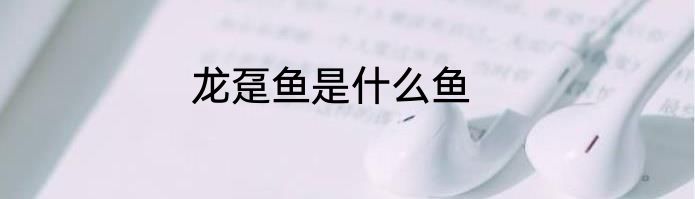龙趸鱼是什么鱼