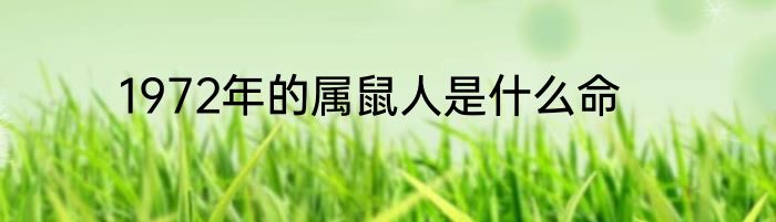 1972年的属鼠人是什么命