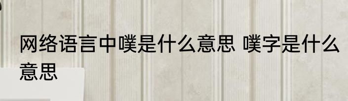 网络语言中噗是什么意思 噗字是什么意思