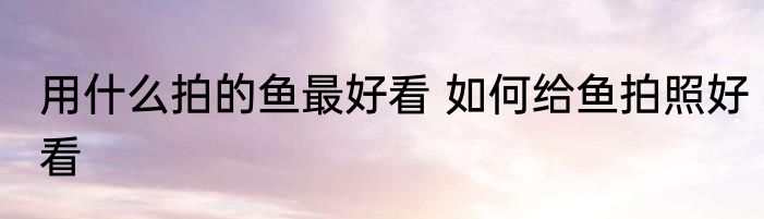 用什么拍的鱼最好看 如何给鱼拍照好看