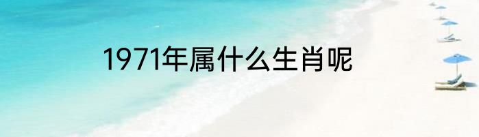 1971年属什么生肖呢