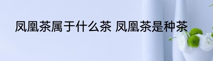 凤凰茶属于什么茶 凤凰茶是种茶