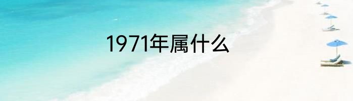 1971年属什么