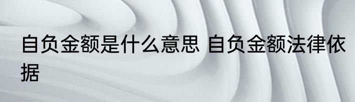 自负金额是什么意思 自负金额法律依据