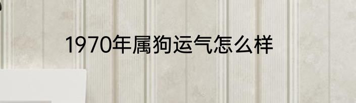 1970年属狗运气怎么样