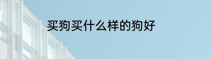 买狗买什么样的狗好