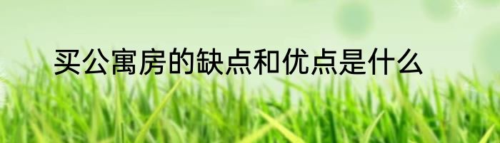 买公寓房的缺点和优点是什么