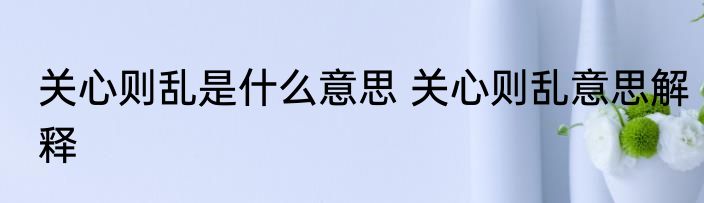 关心则乱是什么意思 关心则乱意思解释