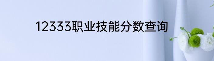 12333职业技能分数查询