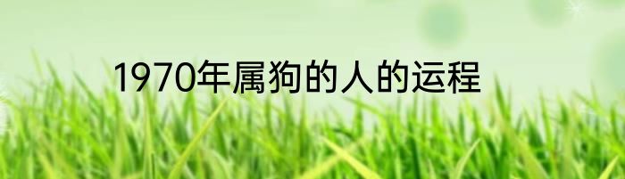 1970年属狗的人的运程