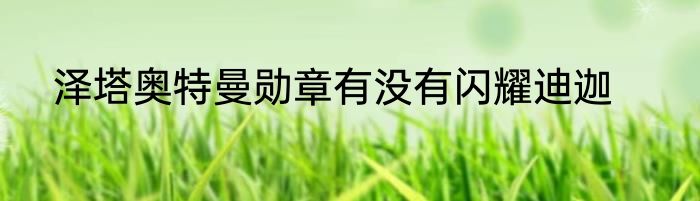 泽塔奥特曼勋章有没有闪耀迪迦