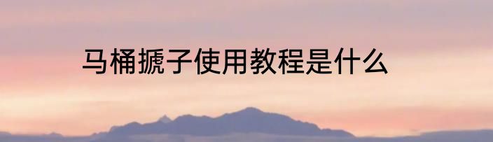 马桶搋子使用教程是什么
