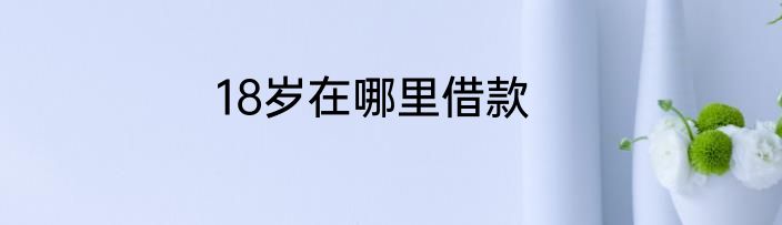 18岁在哪里借款