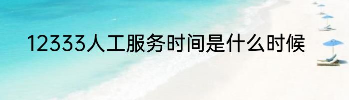 12333人工服务时间是什么时候