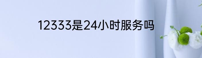 12333是24小时服务吗