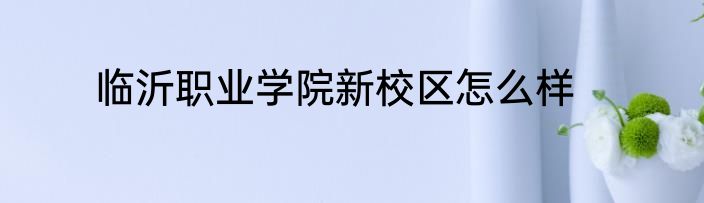 临沂职业学院新校区怎么样