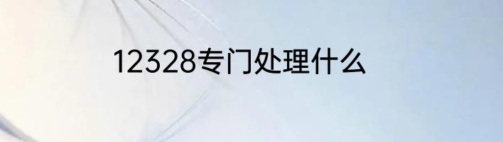 12328专门处理什么