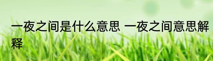 一夜之间是什么意思 一夜之间意思解释
