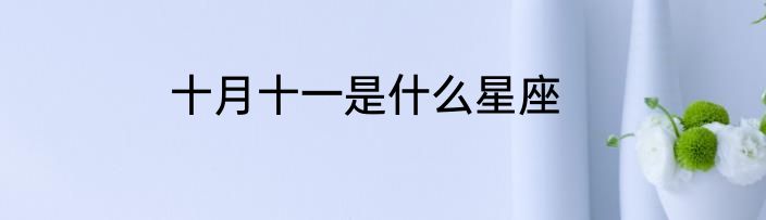 十月十一是什么星座