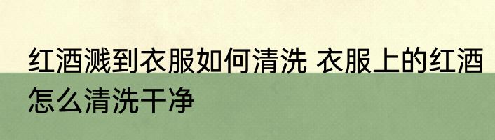 红酒溅到衣服如何清洗 衣服上的红酒怎么清洗干净