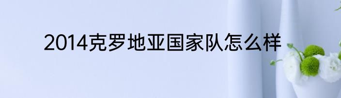 2014克罗地亚国家队怎么样