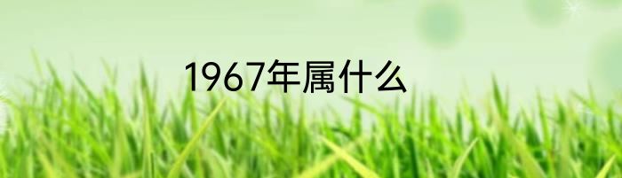 1967年属什么