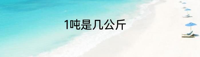 1吨是几公斤