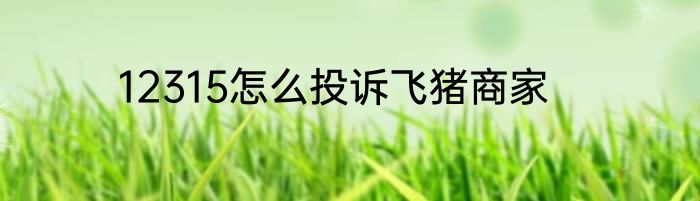 12315怎么投诉飞猪商家