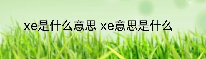 xe是什么意思 xe意思是什么