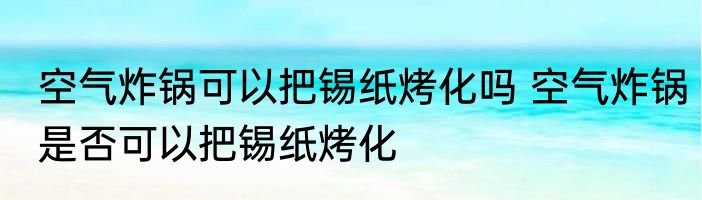 空气炸锅可以把锡纸烤化吗 空气炸锅是否可以把锡纸烤化