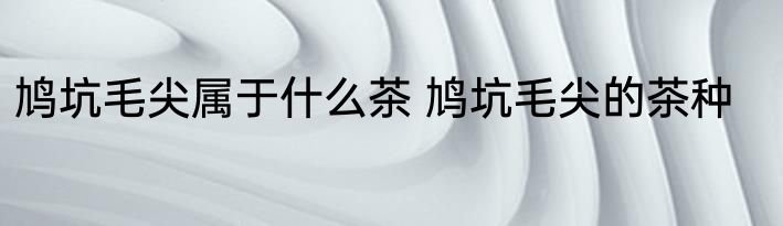 鸠坑毛尖属于什么茶 鸠坑毛尖的茶种