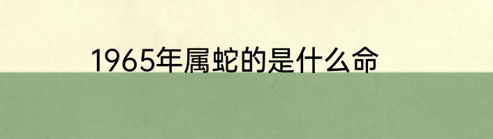 1965年属蛇的是什么命