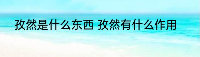 孜然是什么东西 孜然有什么作用