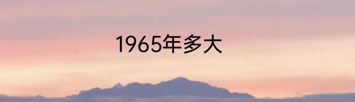 1965年多大